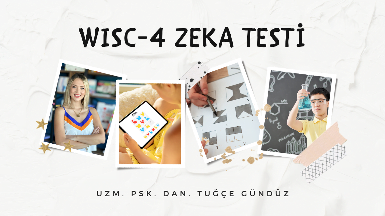 WISC 4 Zeka Testi Uzm Psk Dan Tuğçe GÜNDÜZ