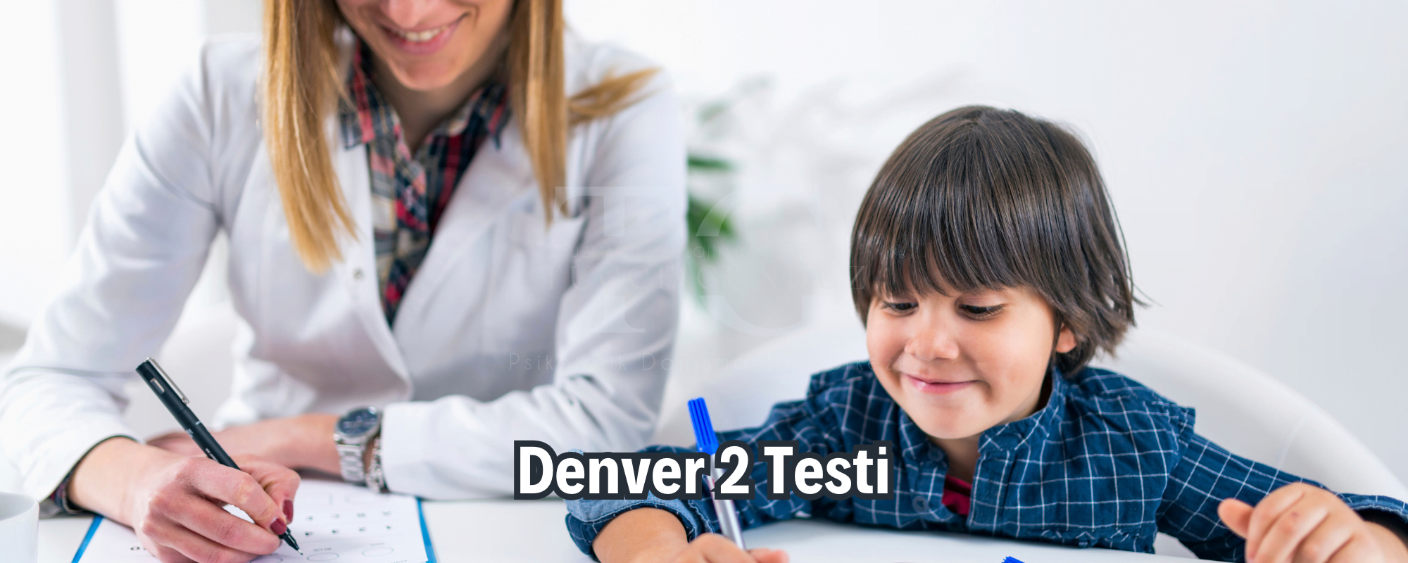 Denver 2 Testi